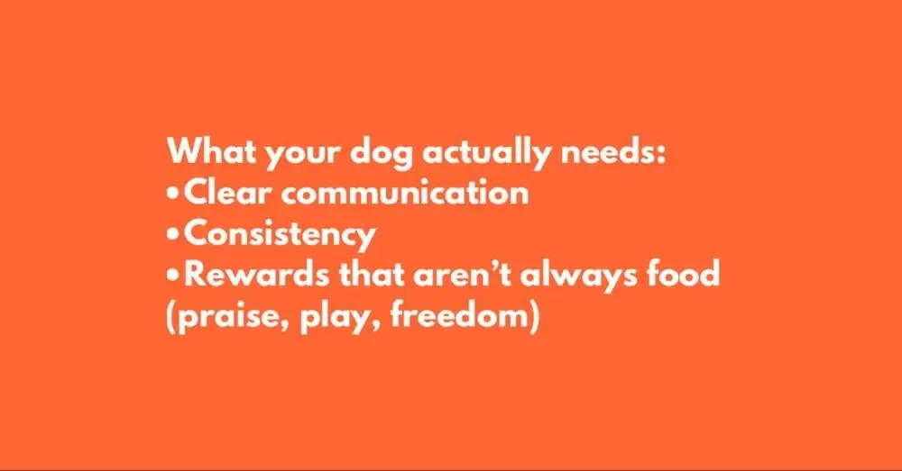 Pet parent guidance and dog training tips shared during a Jumpin' Hounds home visit
