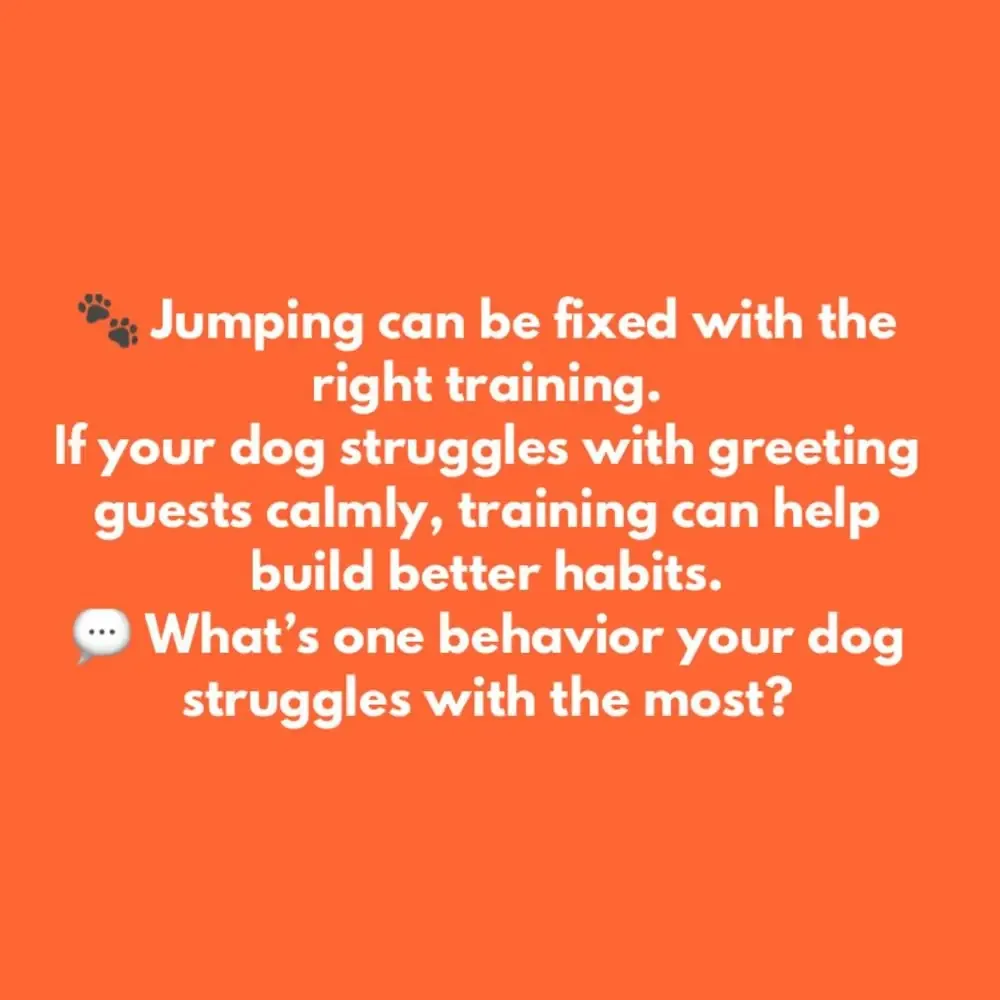 Behavior training moment with an attentive client dog in Powder Springs, Georgia